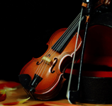 Violin
